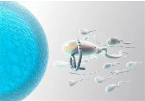 杭州代怀双胞胎：﻿乳铁蛋白能提高宝宝免疫力吗？正确补充才能提高免疫力